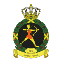 323rd Squadron, Netherlands Air Force.png