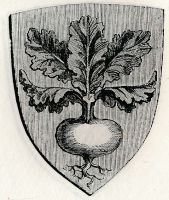 Stemma di Rapolano Terme/Arms (crest) of Rapolano Terme