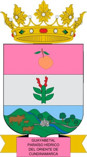 Escudo de Guayabetal