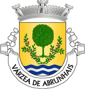Brasão de Várzea de Abrunhais/Arms (crest) of Várzea de Abrunhais