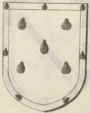 Arms of Santiago de los Caballeros