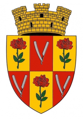 Coat of arms of Briceni