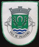 Brasão de Vale de Salgueiro/Arms (crest) of Vale de Salgueiro