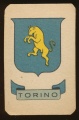 Torino.fassi.jpg
