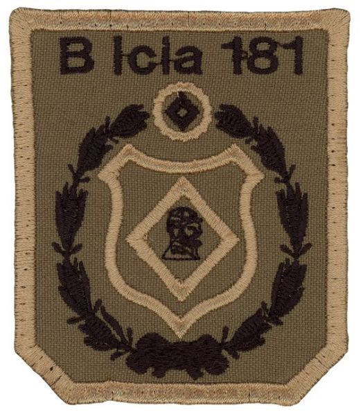 File:181st Intelligence Battalion, Argentine Army.jpg