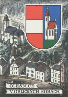Arms (crest) of Olešnice v Orlických horách