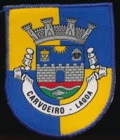 Brasão de Carvoeira/Arms (crest) of Carvoeira