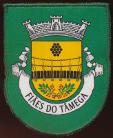 Brasão de Fiães do Tâmega/Arms (crest) of Fiães do Tâmega