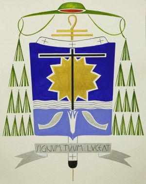 Arms (crest) of Darci José Nicioli