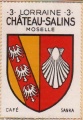 Chateausalins.hagfr.jpg