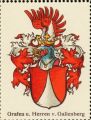 Wappen Grafen und Herren von Gallenberg