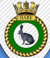 HMS Hare, Royal Navy.jpg