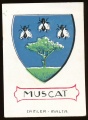 Muscat.cam.jpg