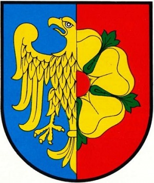 Arms of Wodzisław Śląski