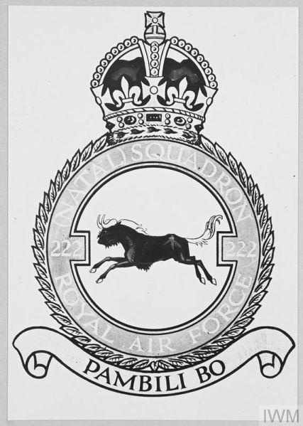 File:No 222 (Natal) Squadron, Royal Air Force.jpg