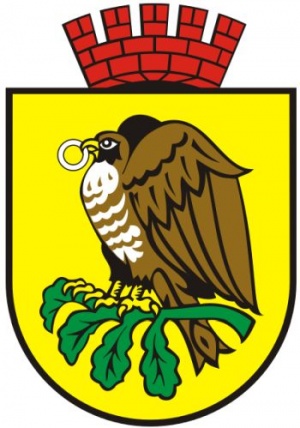 Arms of Sokołów Podlaski
