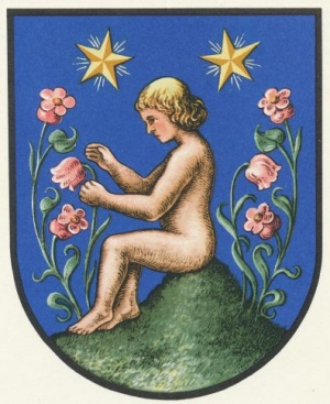 Wappen von Kindberg