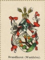 Wappen von Brandthorst