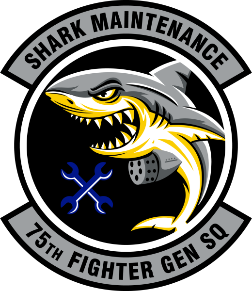 File:75th Fighter Generation Squadron, US Air Force.png