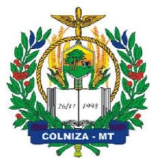 Brasão de Colniza/Arms (crest) of Colniza