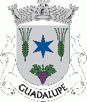 Arms of Guadalupe