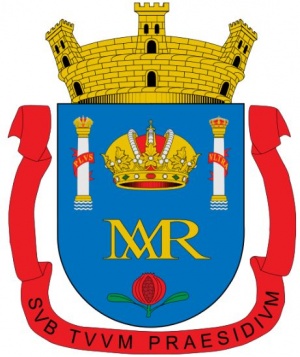 Escudo de Socorro (Santander)