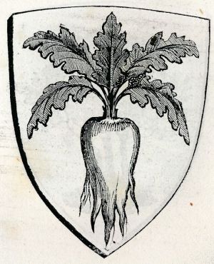 Arms (crest) of Verghereto
