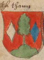 Wappen von Tann/Arms (crest) of Tann