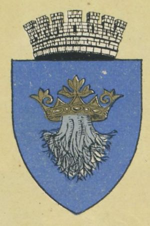 Arms of Brașov