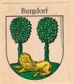 Burgdorf.pan.jpg