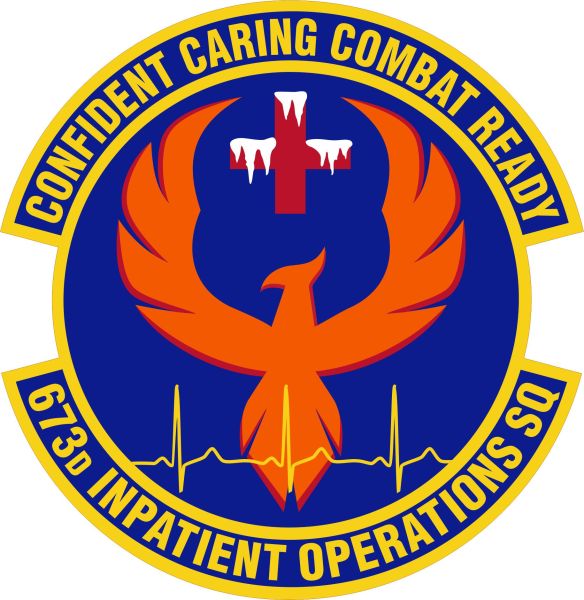 File:673rd Inpatient Operations Squadron, US Air Force.jpg