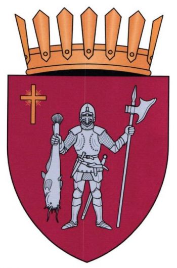 Coat of arms of Nemțeni