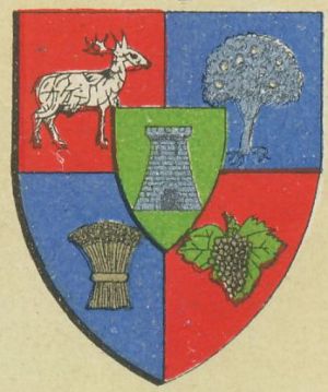 Coat of arms (crest) of Satu Mare (county)