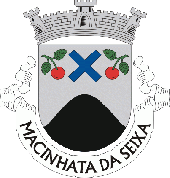Brasão de Macinhata da Seixa/Arms (crest) of Macinhata da Seixa