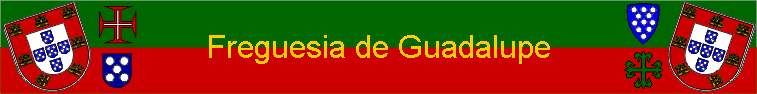 Freguesia de Guadalupe