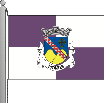 Bandeira da freguesia de Montes