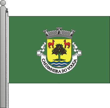 Bandeira da freguesia de Castanheira do Vouga