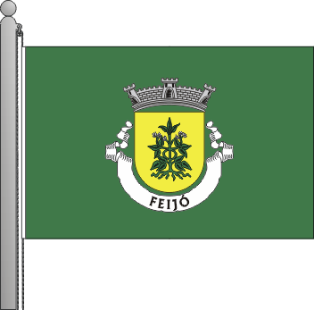 Bandeira da freguesia de Feij