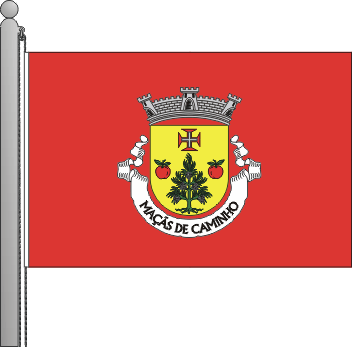 Bandeira da freguesia de Mas de Caminho