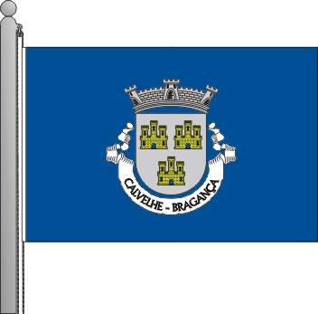 Bandeira da freguesia de Calvelhe