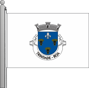 Bandeira da freguesia de Trindade