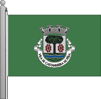 Bandeira do municpio de Castanheira de Pra