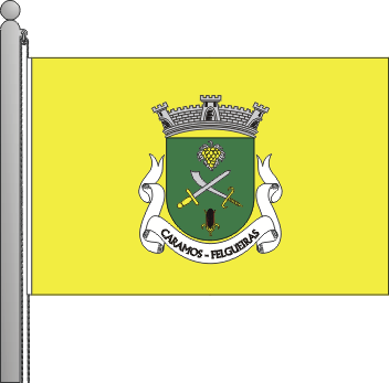 Bandeira da freguesia de Caramos