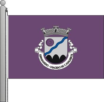 Bandeira da freguesia de Espadanedo
