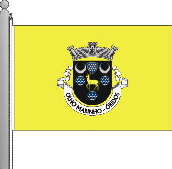 Bandeira da freguesia de Olho Marinho