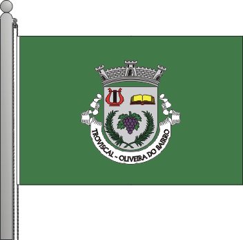 Bandeira da freguesia de Troviscal