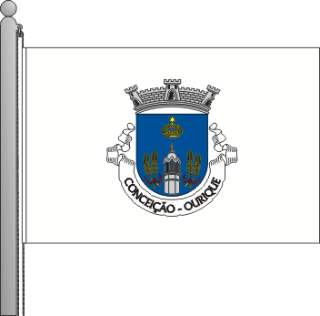 Bandeira da freguesia de Conceio
