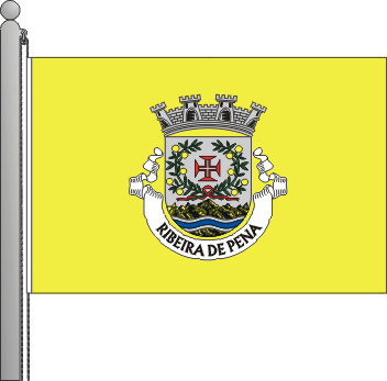 Bandeira do municpio de Ribeira de Pena