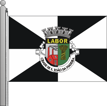 Bandeira do municpio de So Joo da Madeira