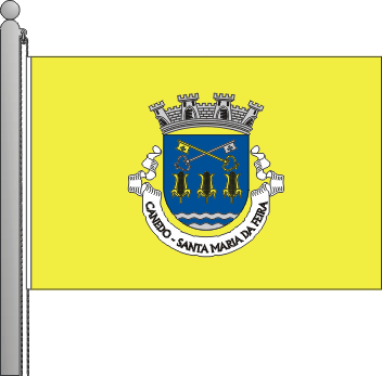 Bandeira da freguesia de Canedo